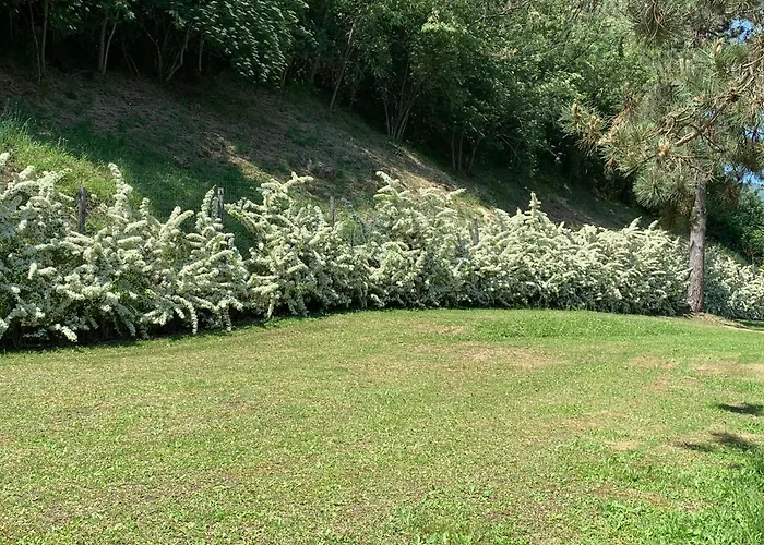 Podere Campofossato