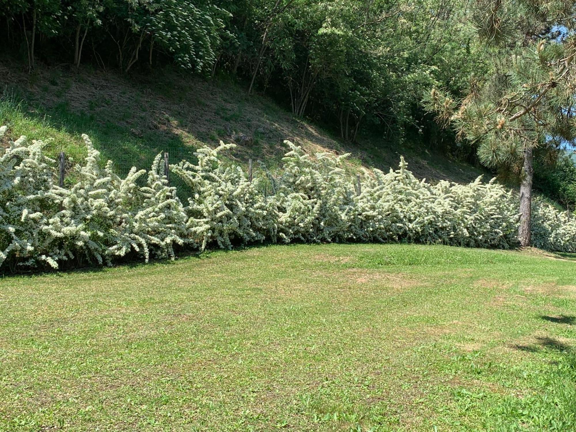Podere Campofossato Farm stay *