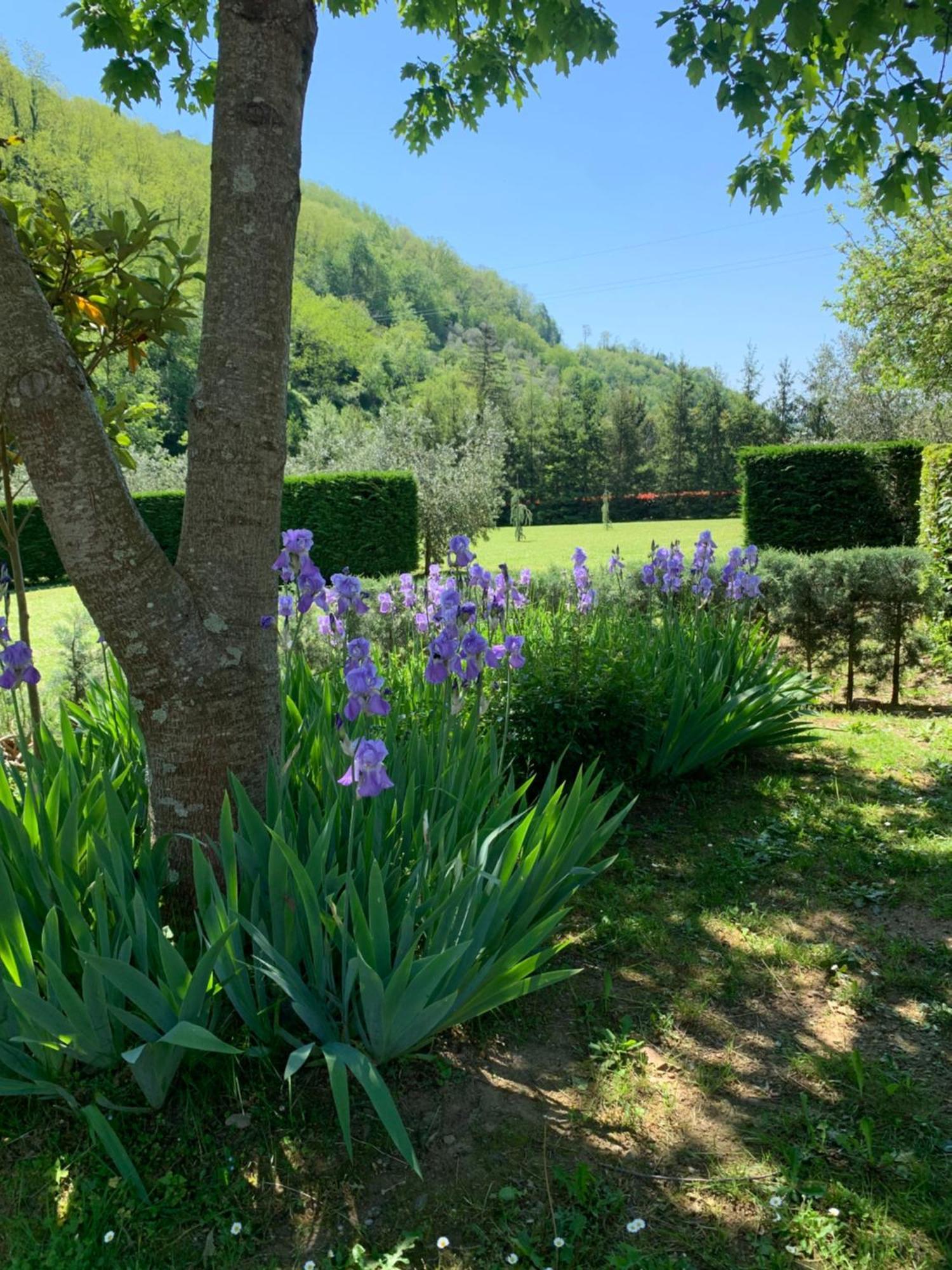 Podere Campofossato Pistoia