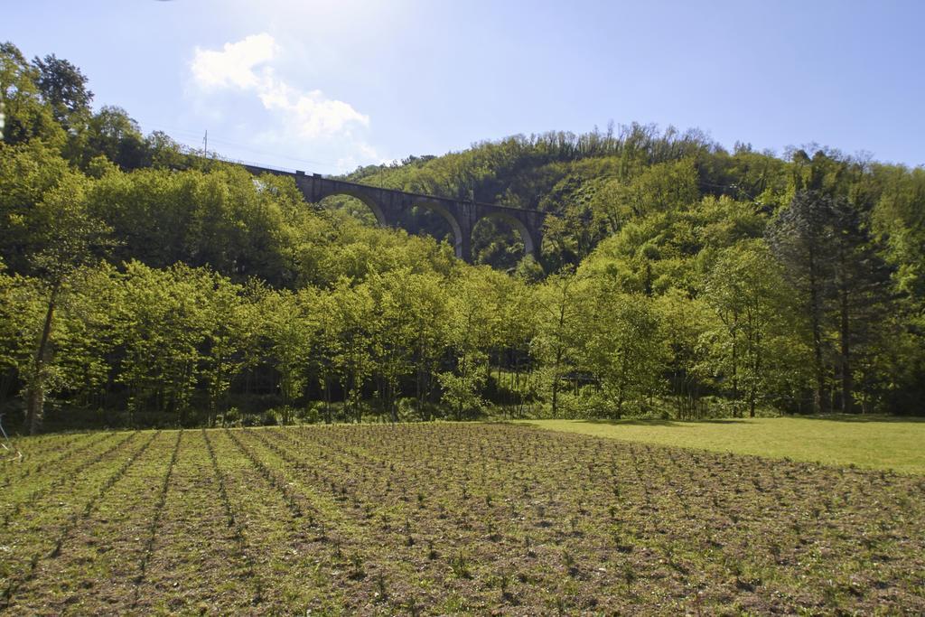 Podere Campofossato Pistoia