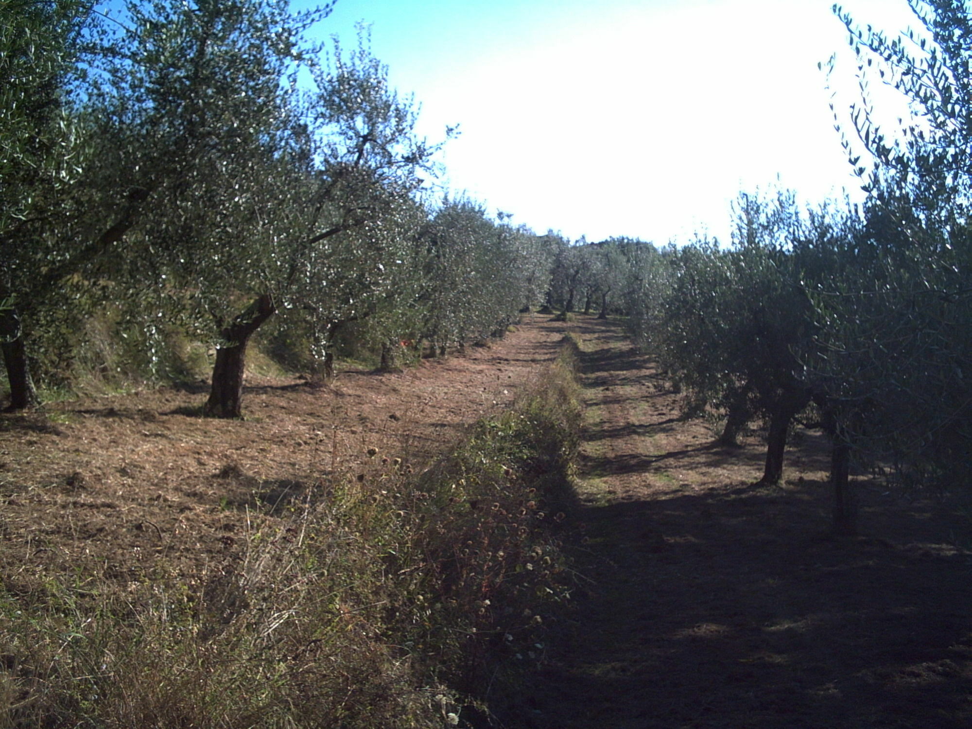 Podere Campofossato * Pistoia