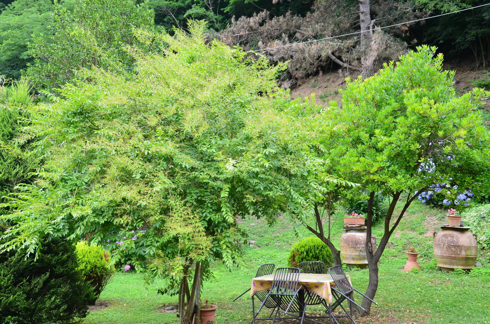 Podere Campofossato Farm stay
