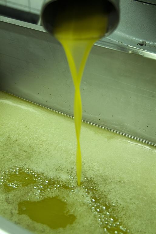 Bauernhof Podere Campofossato